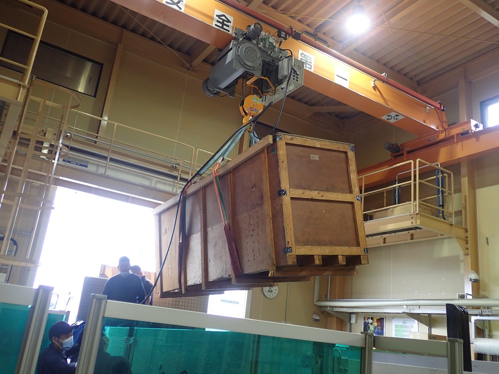 引き取り時 引き取り時